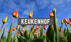 parkeren keukenhof