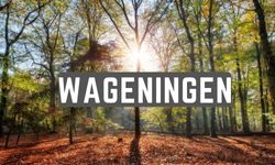 parkeren wageningen